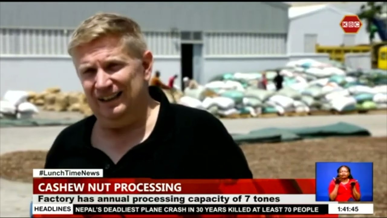 Cashew nuts and more EPZ LTD opens in Kilifi County. Seeks to revitalize the production