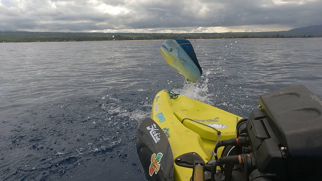 Rogue Mahi Jumps in Kayak l Hawaii Kayak Fishing