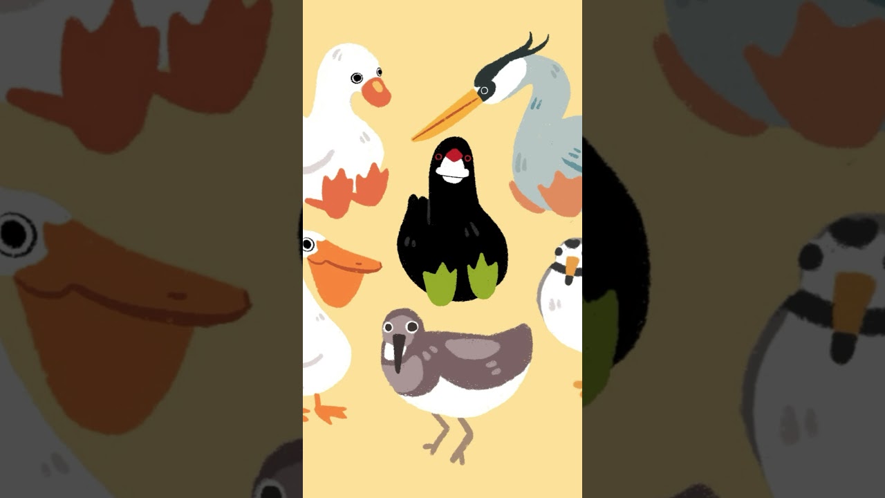 #beats #birds #music #lofi #lofimusic #lofihiphop #lofimix #chillmusic #bgm #homework #art #drawing
