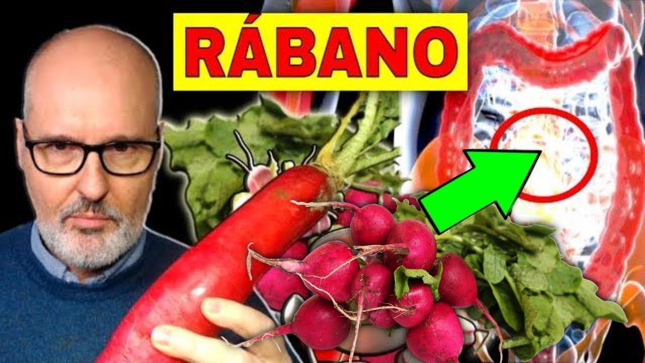 RÁBANO: Poderoso Vegetal para una SALUD INTEGRAL
