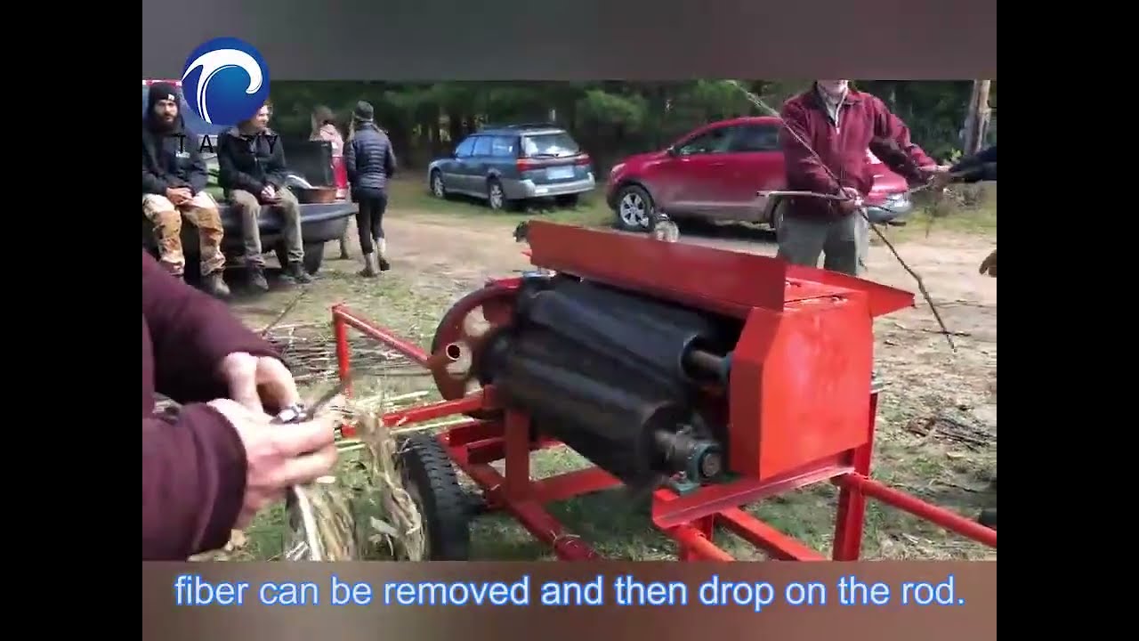 TOP 5 machine kenaf hemp decorticator stripping! how to remove the fiber from hemp,jute and kenaf?