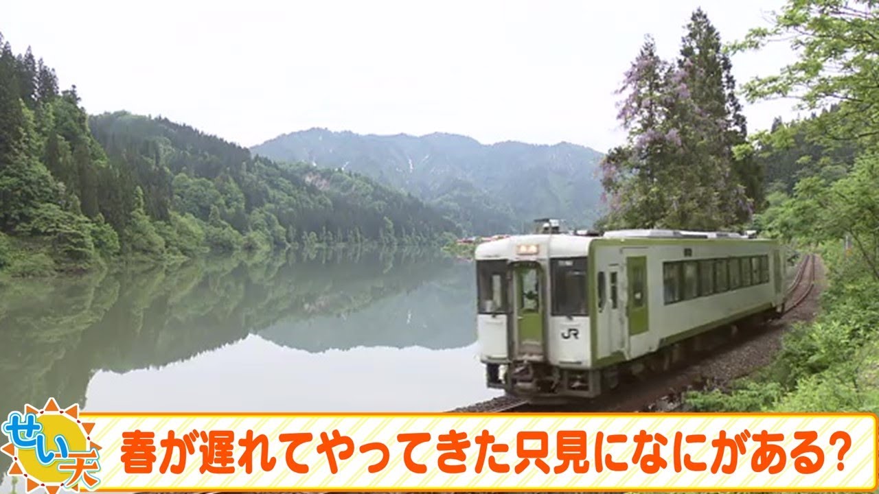 長い冬を耐えて…輝く季節が到来　鉄オタが考えた絶景の秘境路線の旅　福島県内から只見へ日帰り旅を提案【せい天】