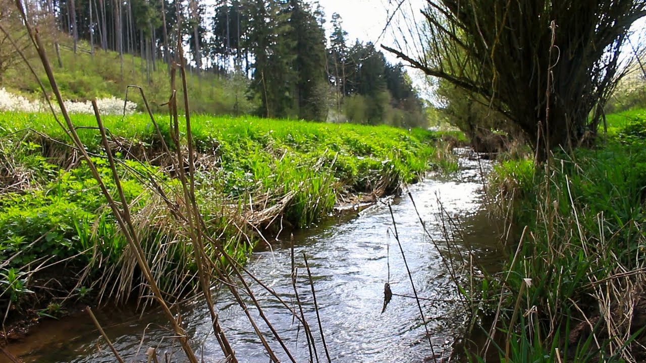 Sanftes Pl&auml;tschern vom Bach - Ruhige und Sanfte Ger&auml;usche f&uuml;r erholsamen Schlaf - Natur Ambiente