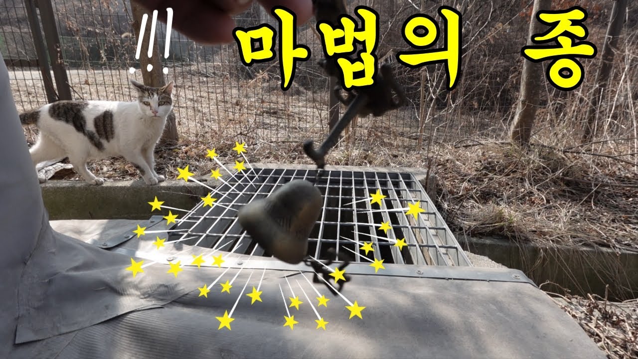 종을 치면 집합하는 고양이들 (공장고양이 #1)