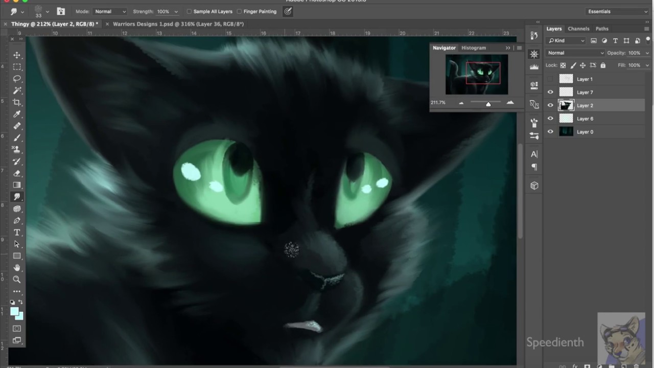 [OLD] Ravenpaw [Warriors Speedpaint]