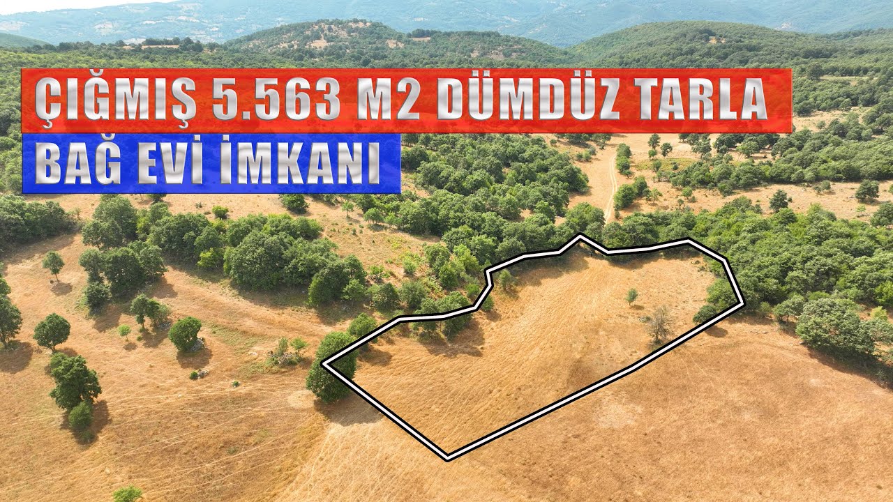 2035- G&ouml;nen'de Ormana Cephe 5.563 m2 Top Sahası Gibi Tarla