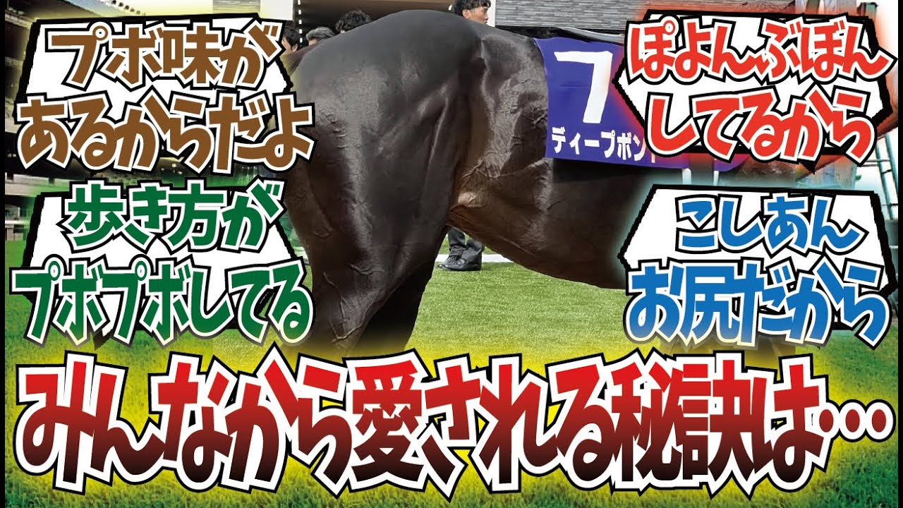 「どうしてディープボンド君は可愛く感じるのか」に対するみんなの反応集