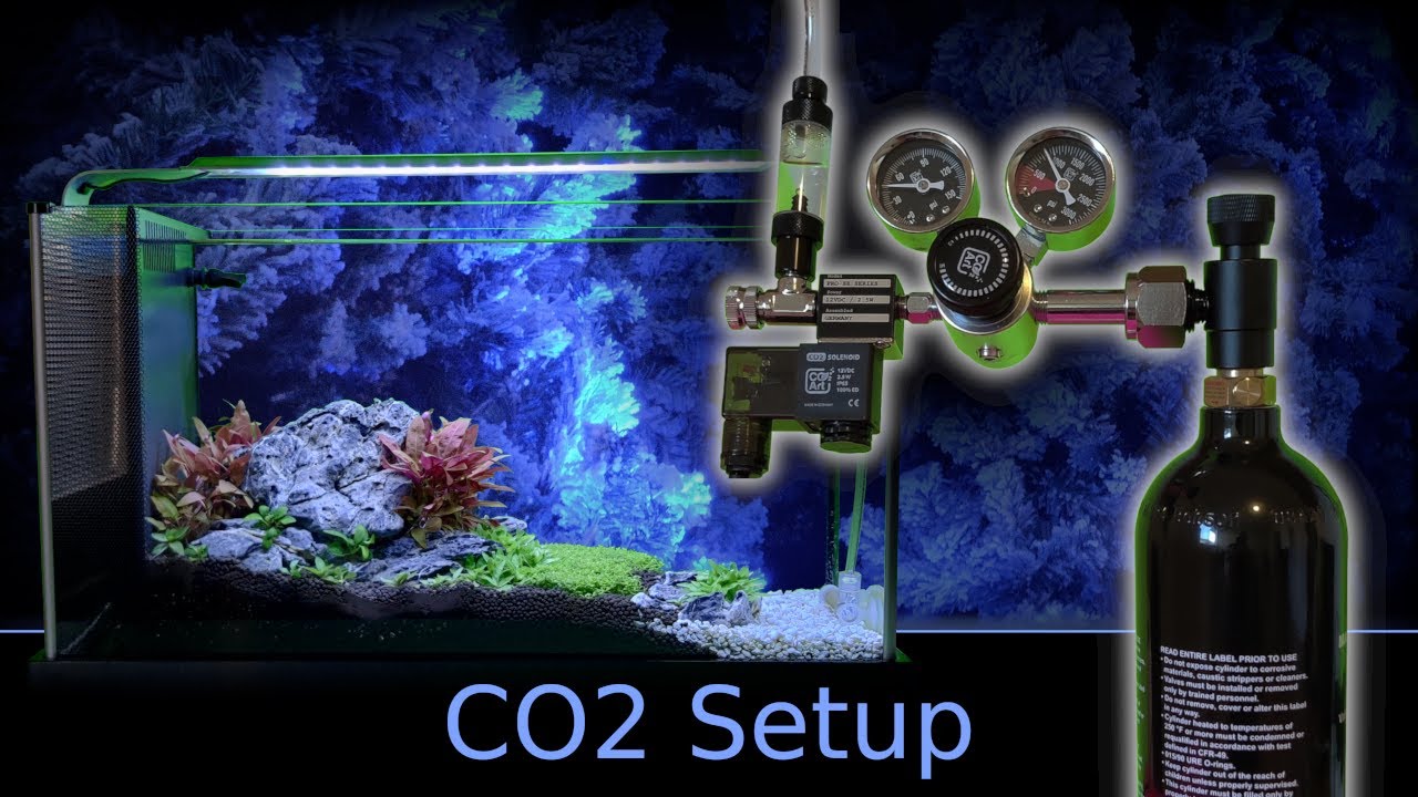 Fluval Spec Planted Aquarium Part 2 - CO2 Setup