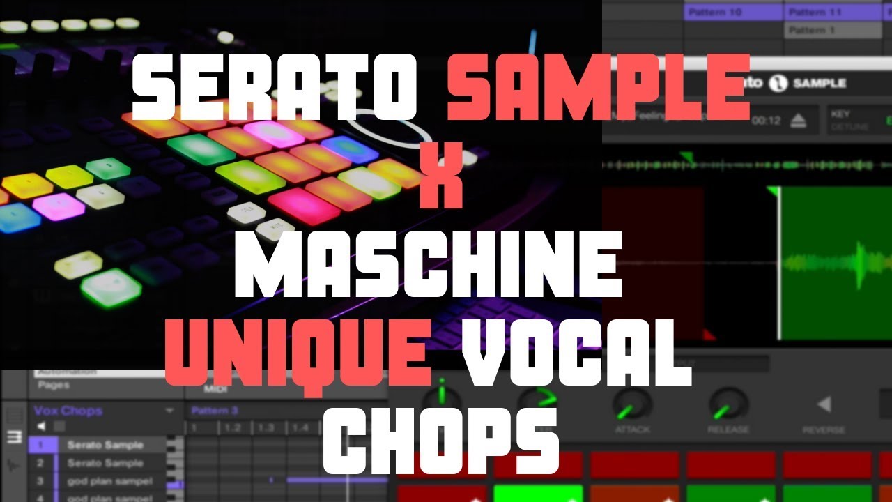 Maschine | Serato Sample | Unique Vocal Chops Tutorial