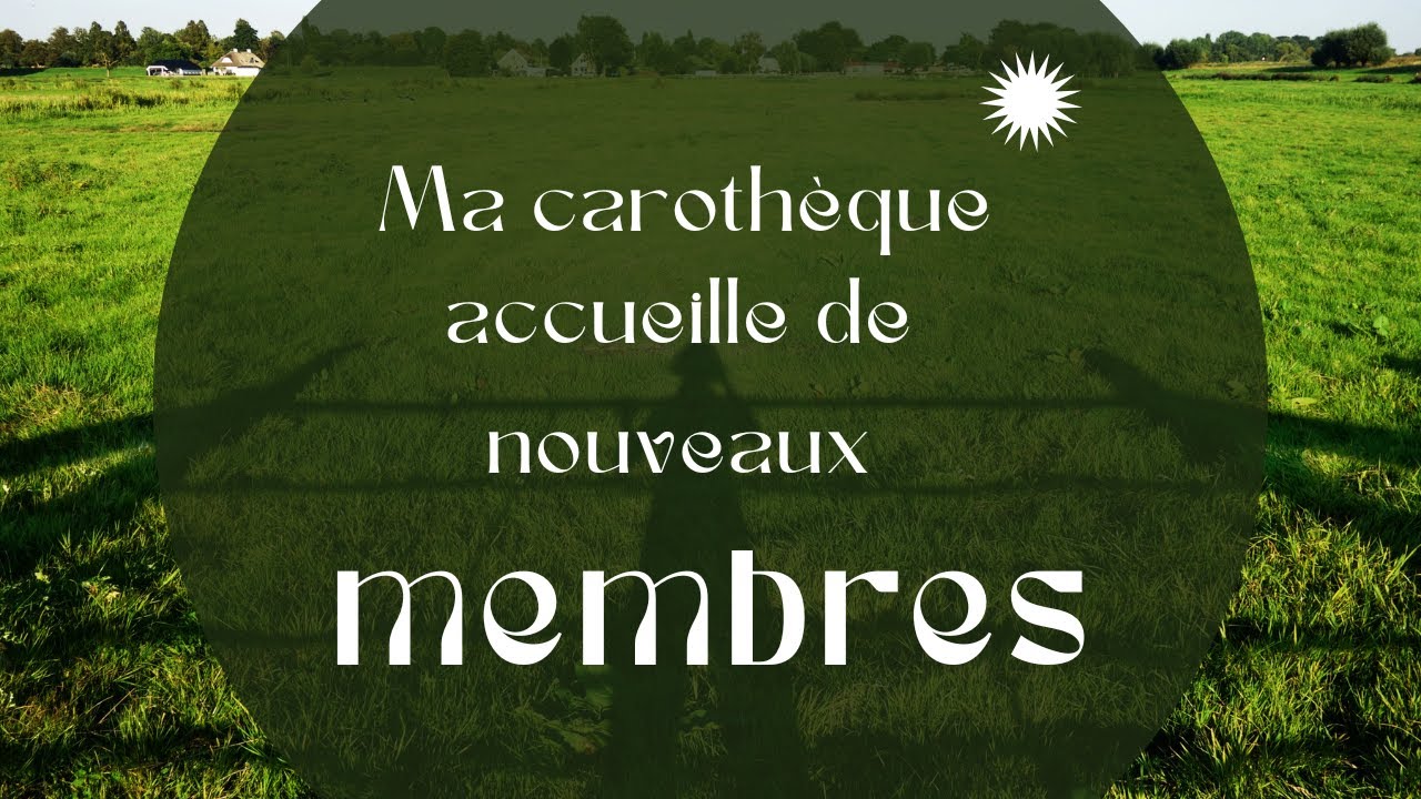 Ma cartothèque a accueilli (beaucoup) de nouveaux membres