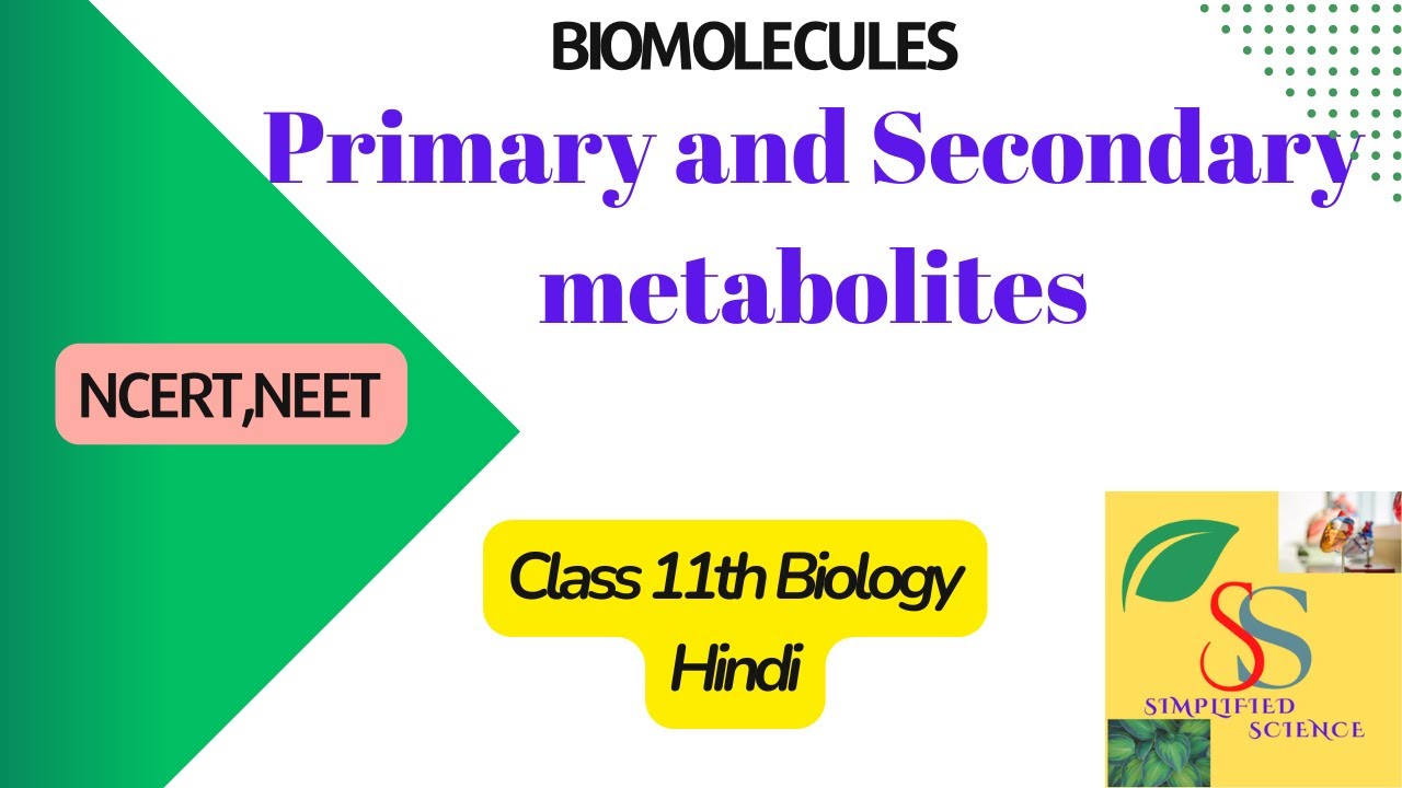 Primary and Secondary metabolite