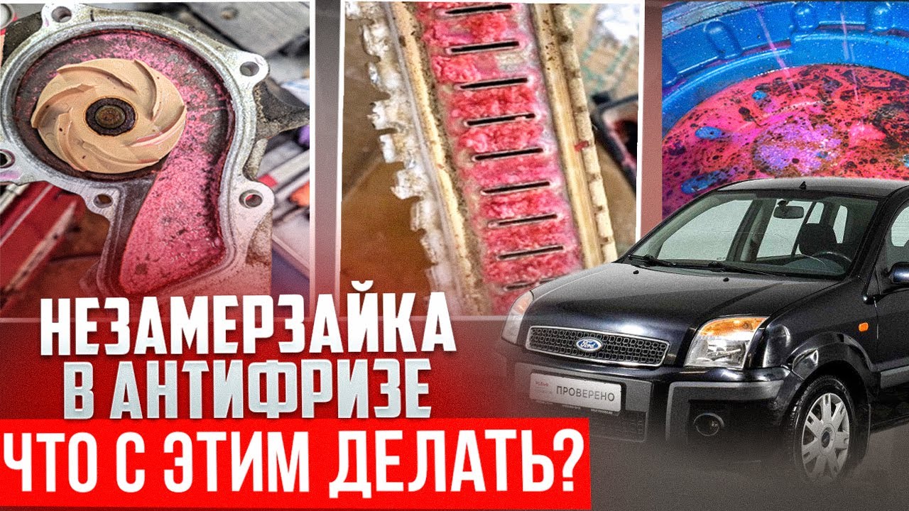 Замена помпы, радиатора и промывка Ford Fiesta (Fusion)