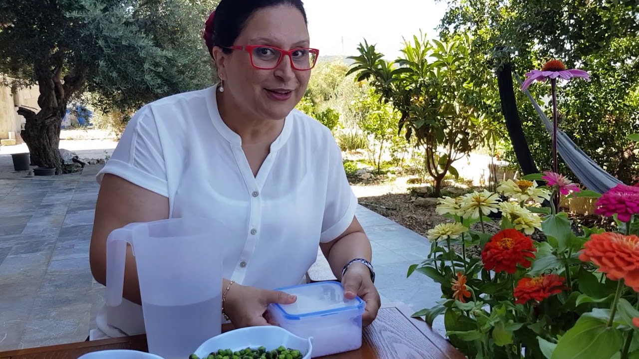 طريقة عمل كبيس الكَبار في المنزل how to make pickles from capers at home