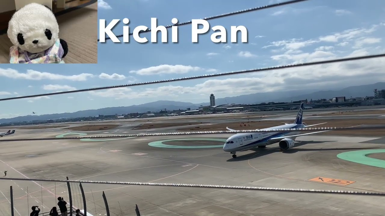 ✈️ 見るなら最高の福岡空港その１