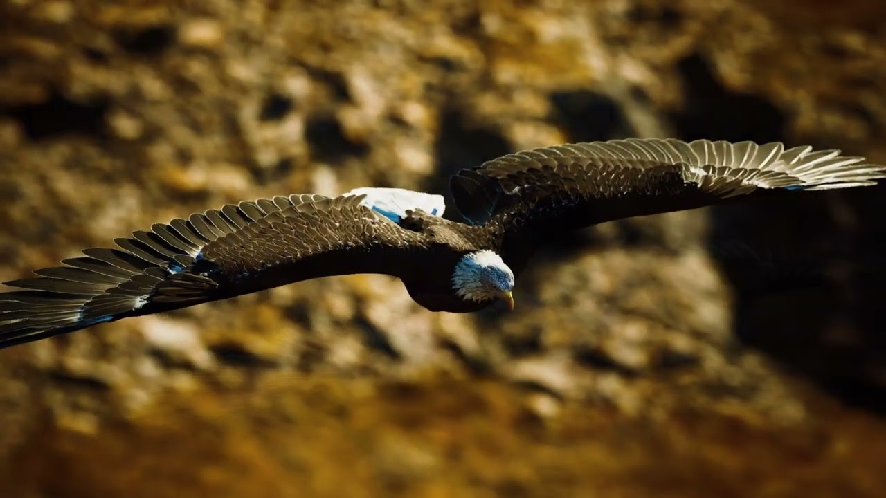 Majestic Eagle Flight Over Mountains 🦅 Epic 4K Nature & Cinematic Ambient