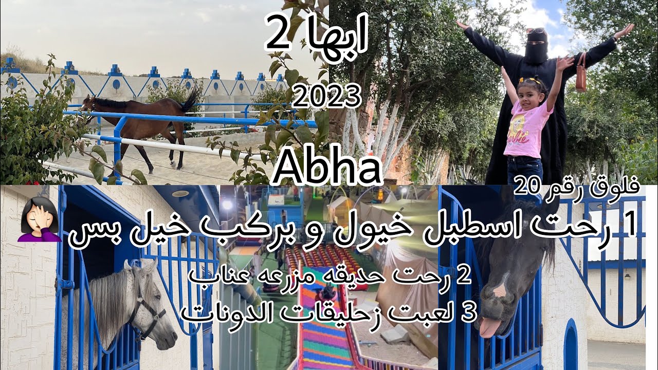 فلوق رقم 20 