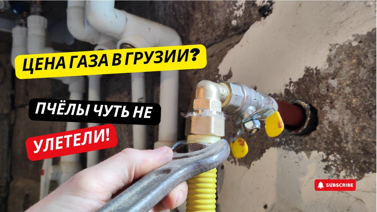 #28 Сколько стоит провести ГАЗ в Грузии? Пчёлы нас чуть не ПОКИНУЛИ