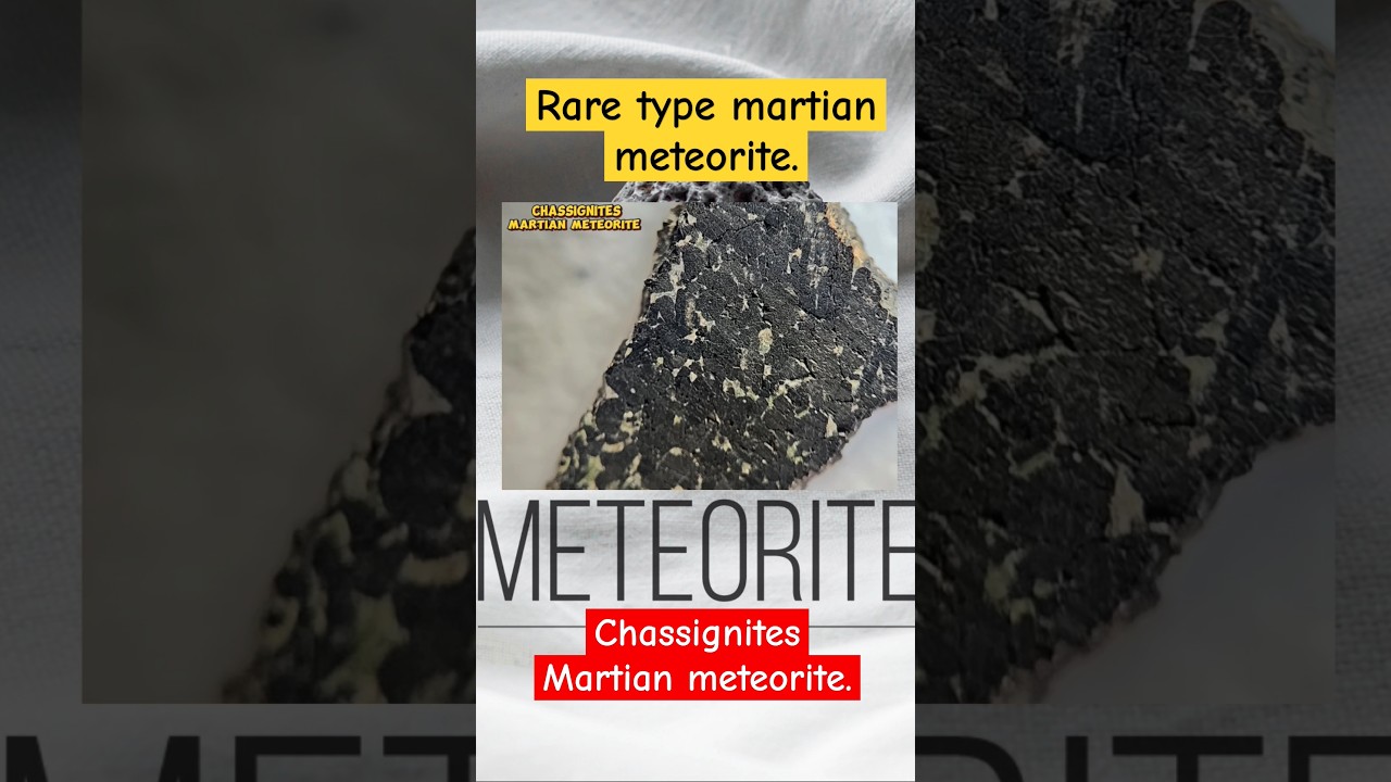 Chassignites Martian meteorite, The rare type Martian meteorite. 