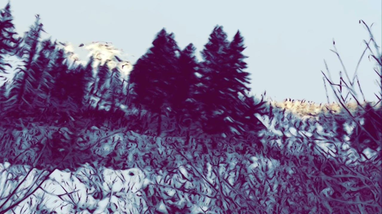 Anywhere you want to go