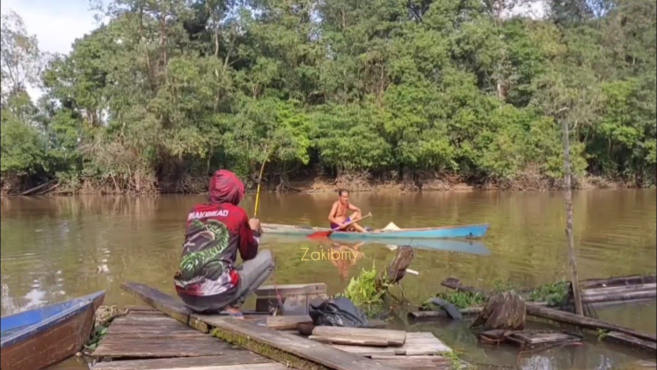 MANCING DASARAN DI SUNGAI KERUH, UMPAN BIJI SAWIT