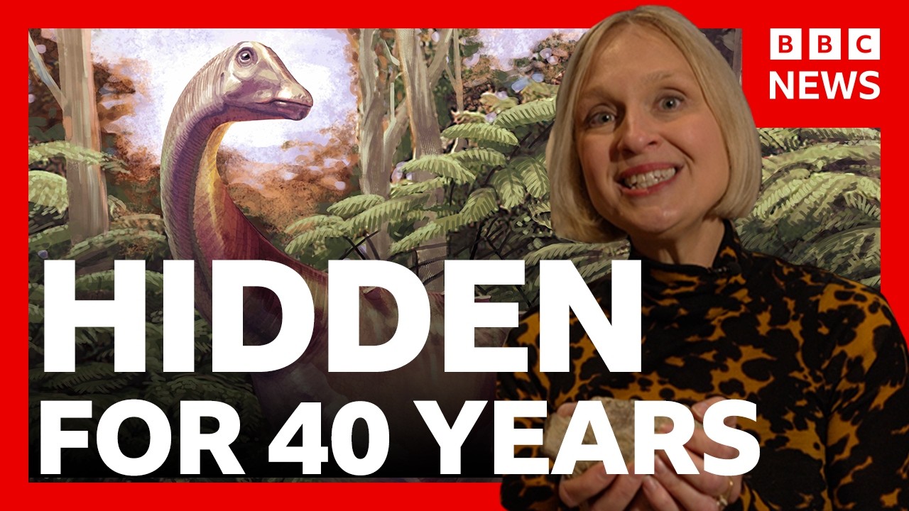 Antarctica&rsquo;s first dinosaur fossil found in a drawer | BBC News