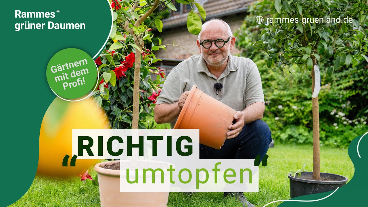 RICHTIG UMTOPFEN