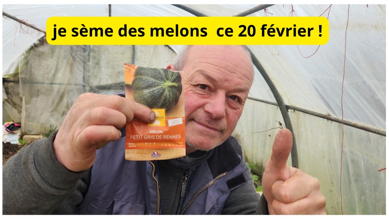 Le live de 7 h     le 21 février    tous les graines de  tomates levées