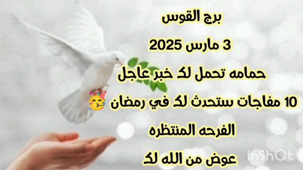 برج القوس 3 مارس 2025//حمامه تحمل لك خبر عاجل 💫 10 مفاجات ستحدث لك في رمضان 🥳 الفرحه المنتظره