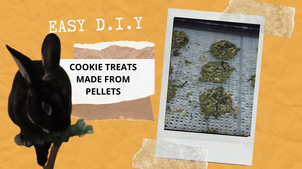 EASY D.I.Y.  RABBIT COOKIE TREATS MADE FROM  PELLETS NO OATS!😍