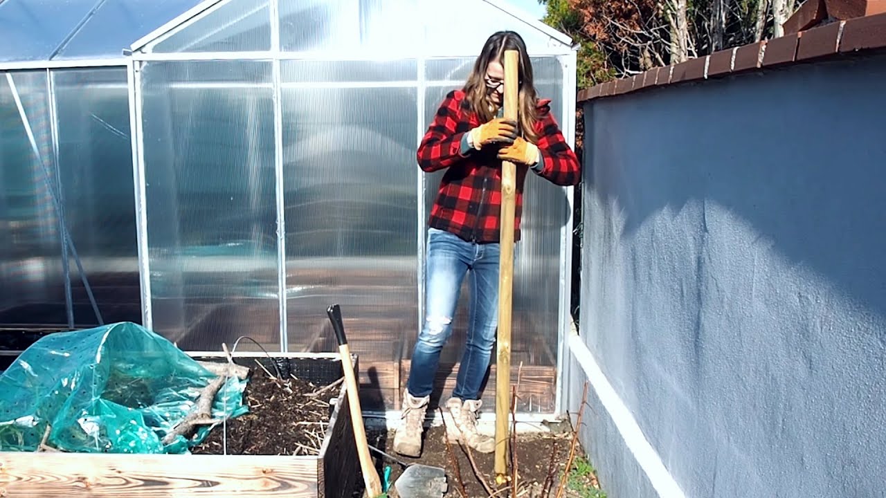 How To Build A Raspberry Trellis