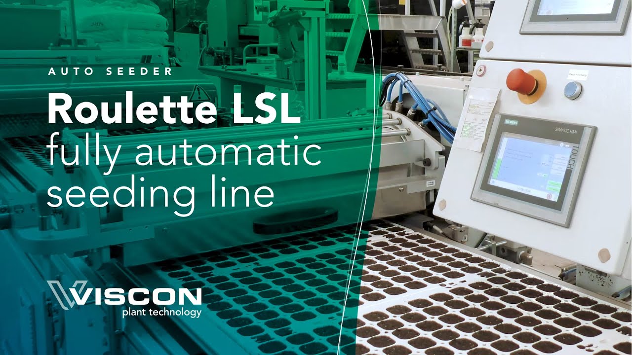 Roulette LSL seeding line at Beekenkamp Plants