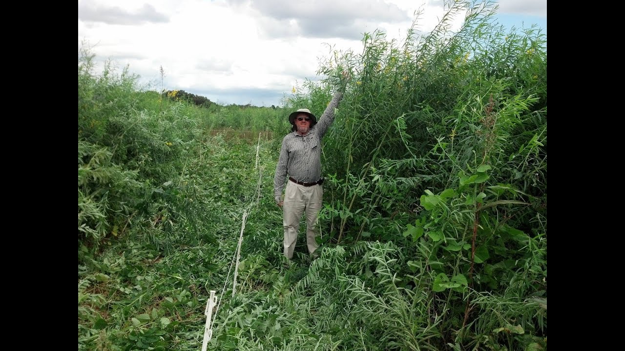 #RegrariansTALK 1 - Regenerative Grazing - Jaime Elizondo Braun - 2018