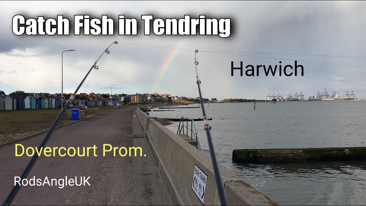 Catch Fish in Tendring: HARWICH - DOVERCOURT PROMENADE