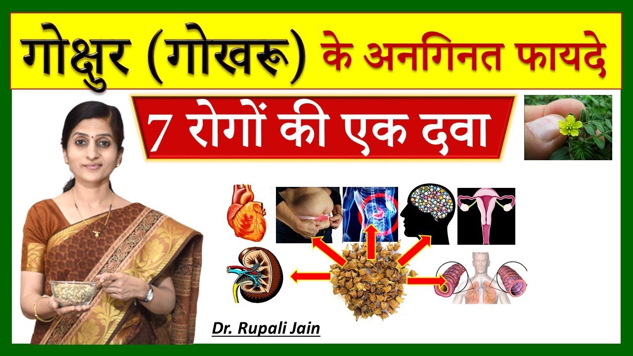 7 Amazing Health Benefits of Gokharu (Gokshur) - गोखरू (गोक्षुर) के अनगिनत फायदे Tribulus terrestris