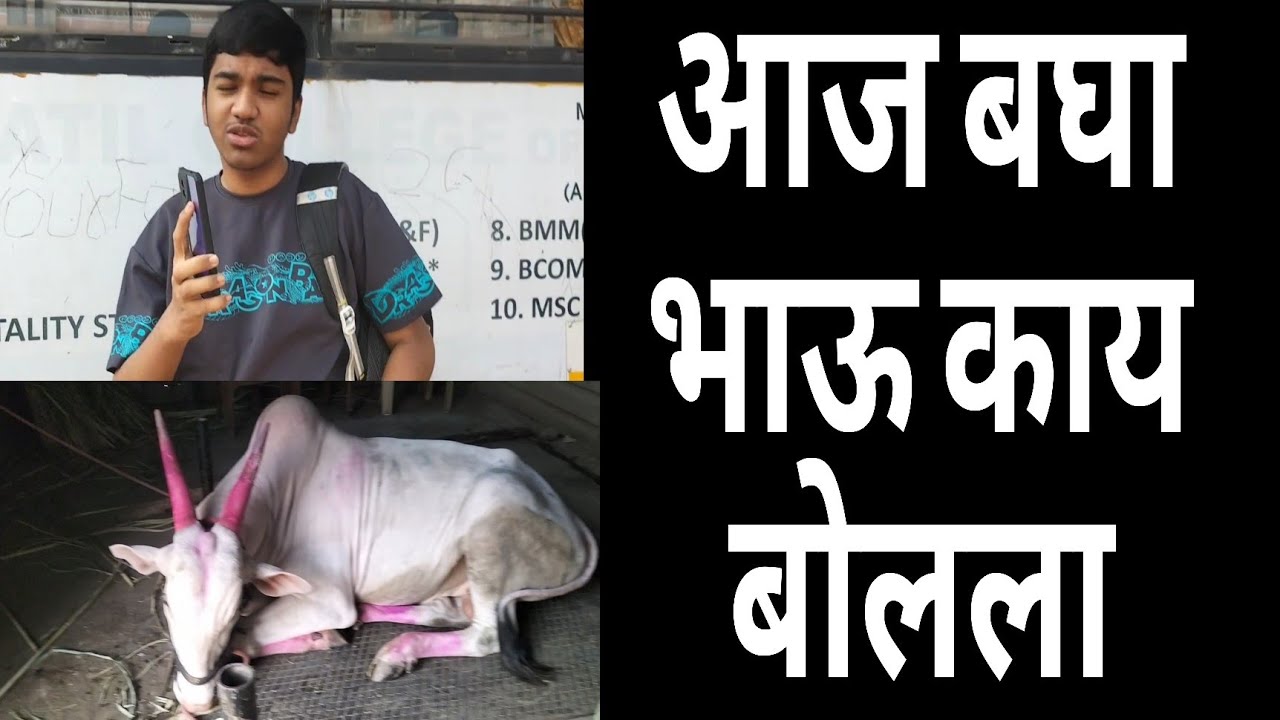 31 vlog आज बघा यो भाऊ काय बोलला आम्ही सर्जा च्या गोटात गेलो