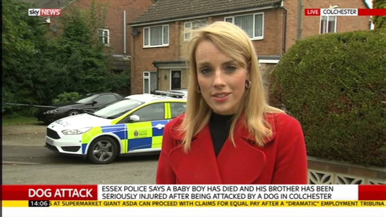 Baby boy killed in dog attack - Rebecca Williams reports