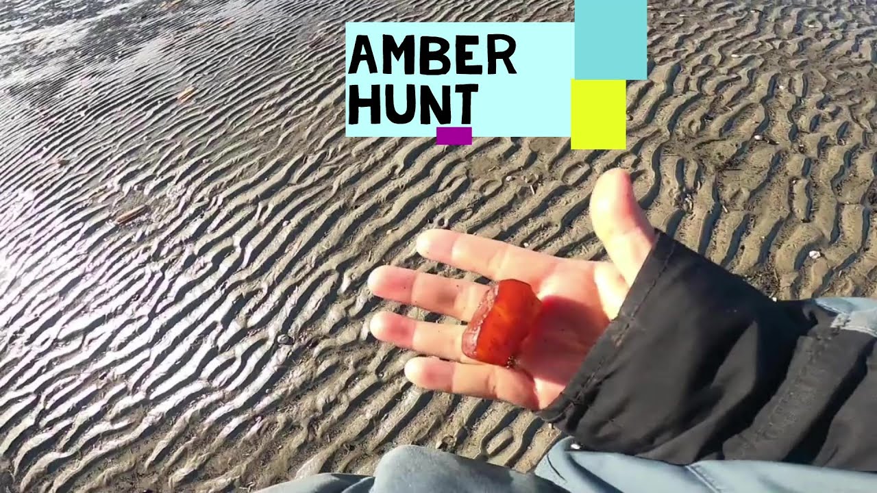 Surprising Finding, Amber hunting.  (Et overraskende fund, rav jagt på den dansk vestkyst).