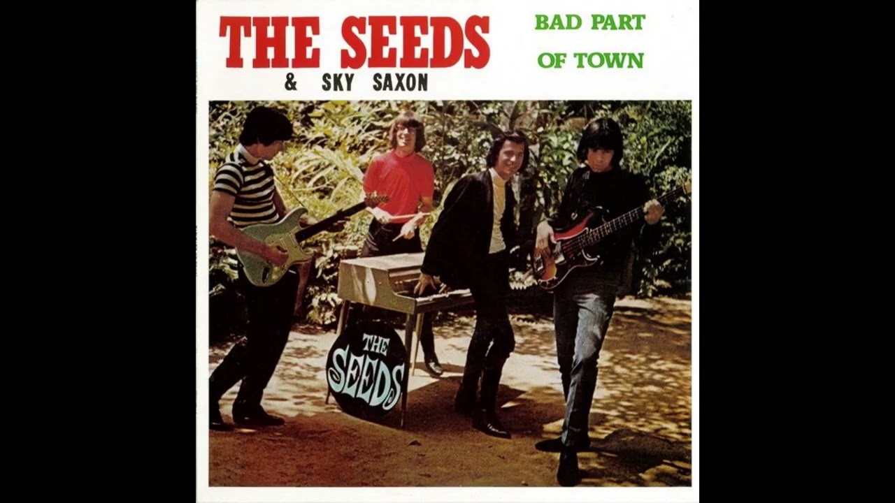 THE SEEDS - Shuckin' And Jiving (U.S. Garage Rock 70's)