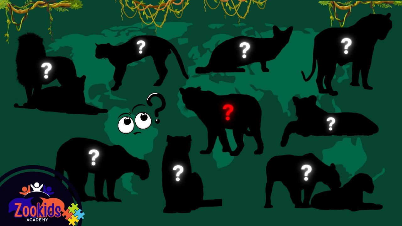 Apprendre des noms et regarder des vidéos de Félins pour les enfants - Animal Puzzle