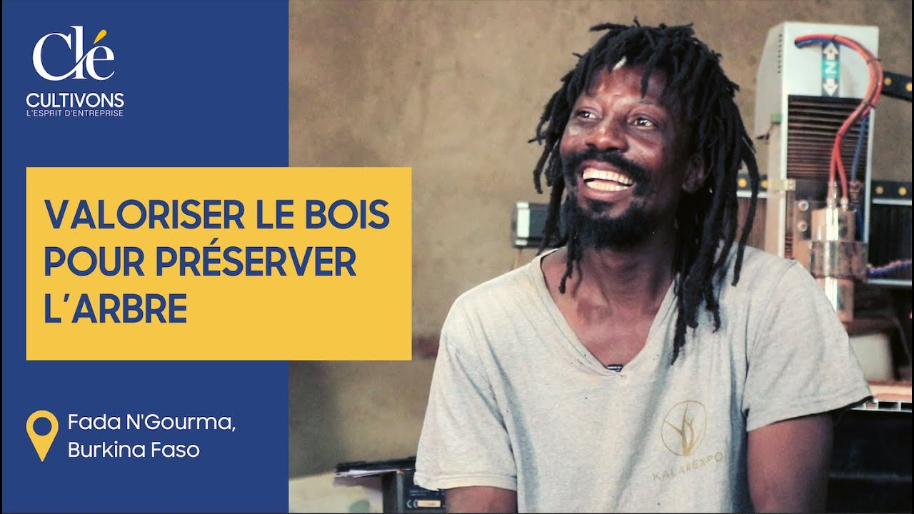 Valoriser le bois pour préserver l'arbre
