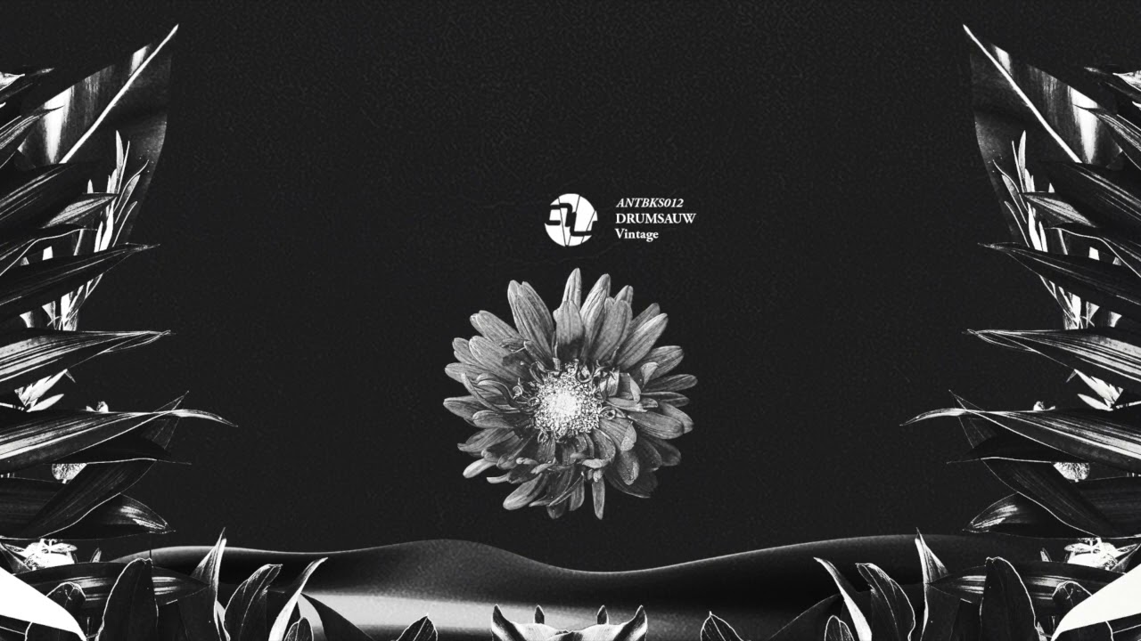 Drumsauw - Searching