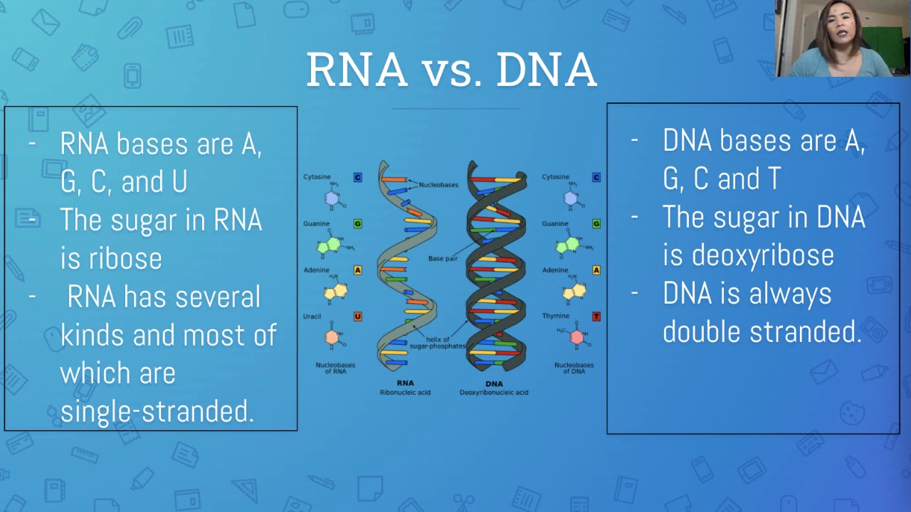 LESSON ON DNA, RNA and MUTATION | IN FILIPINO