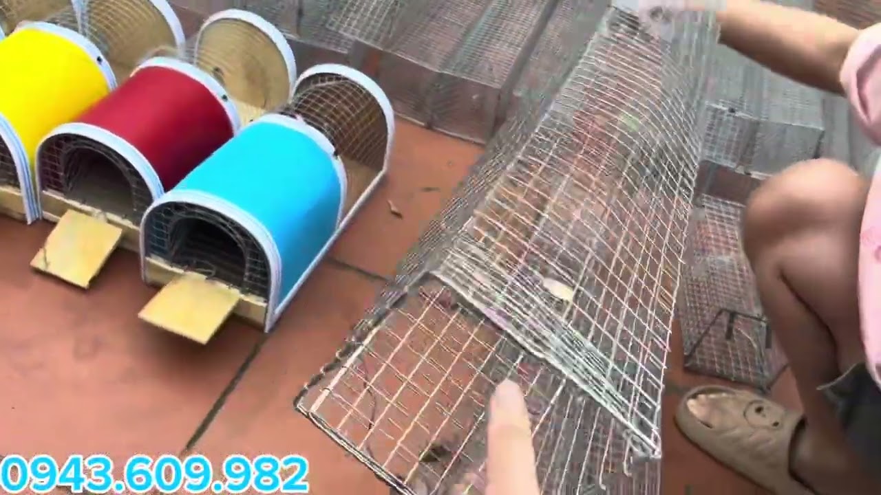 LỒNG MÈO, LỒNG RẮN, LỒNG CHUỘT THÔNG MINH HÀNG ĐẶT ĐẸP TẠI XƯỞNG💥💥