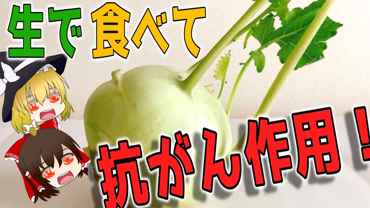 【ゆっくり解説】生で食べて抗がん作用を発揮！コールラビの栄養ついて解説！