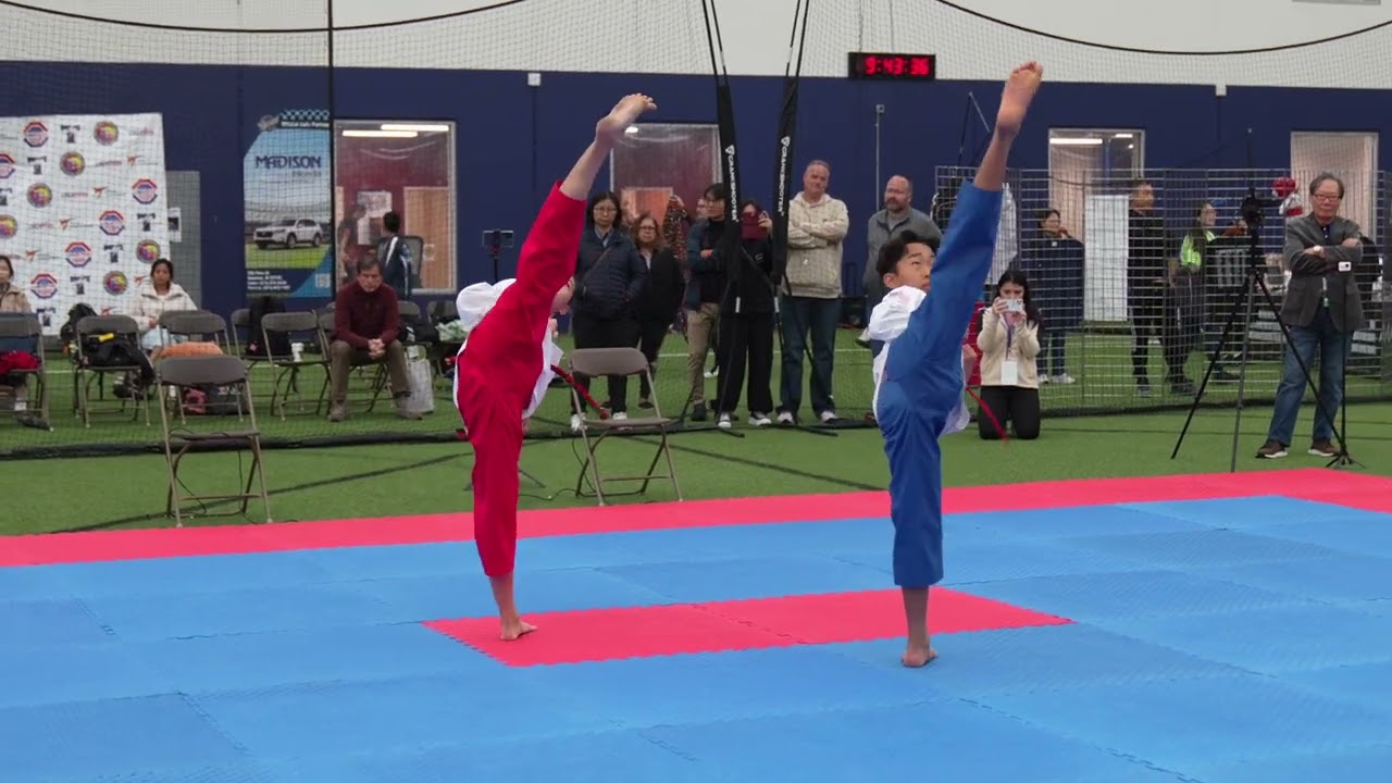 Taekwondo Poomsae Taegeuk 6