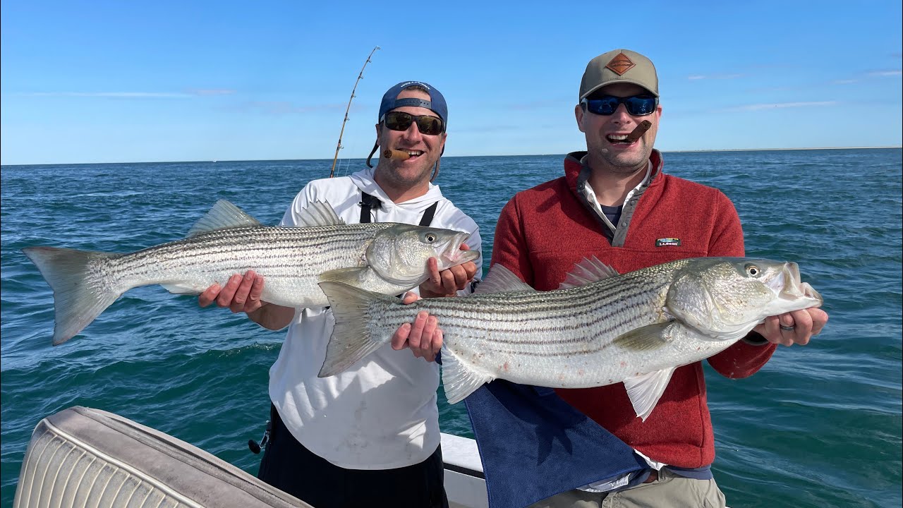 Trolling for Cape Cod Striped Bass - Fishing with Sure Shot Charters!