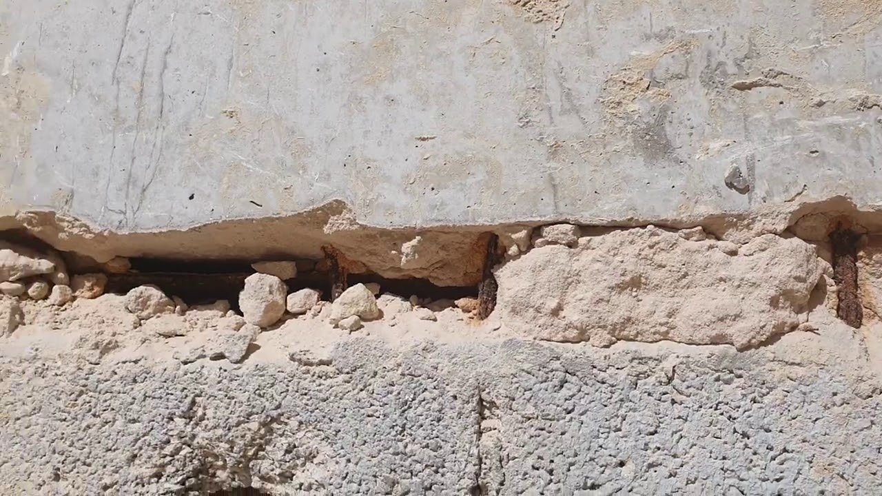 احتطنا غاية الاحتياط ولم نسلم من اذى تجار الفلل