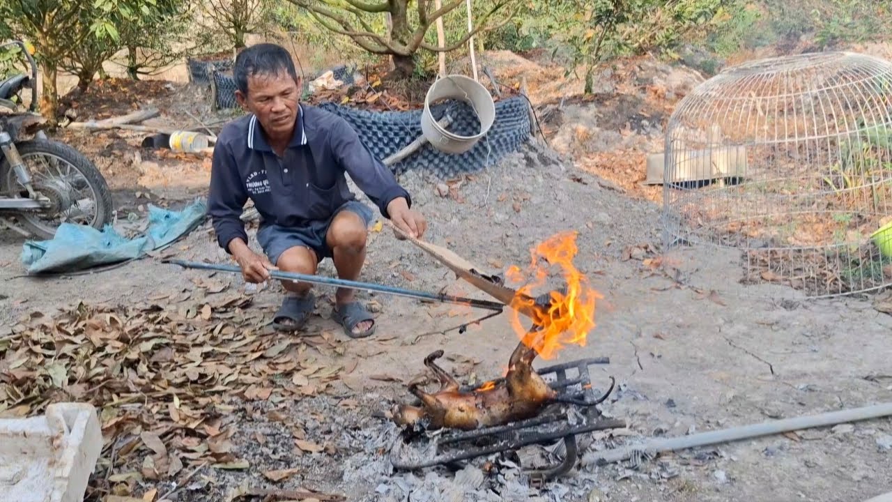 Xem ông chú làm món mèo nhậu cực ngon 