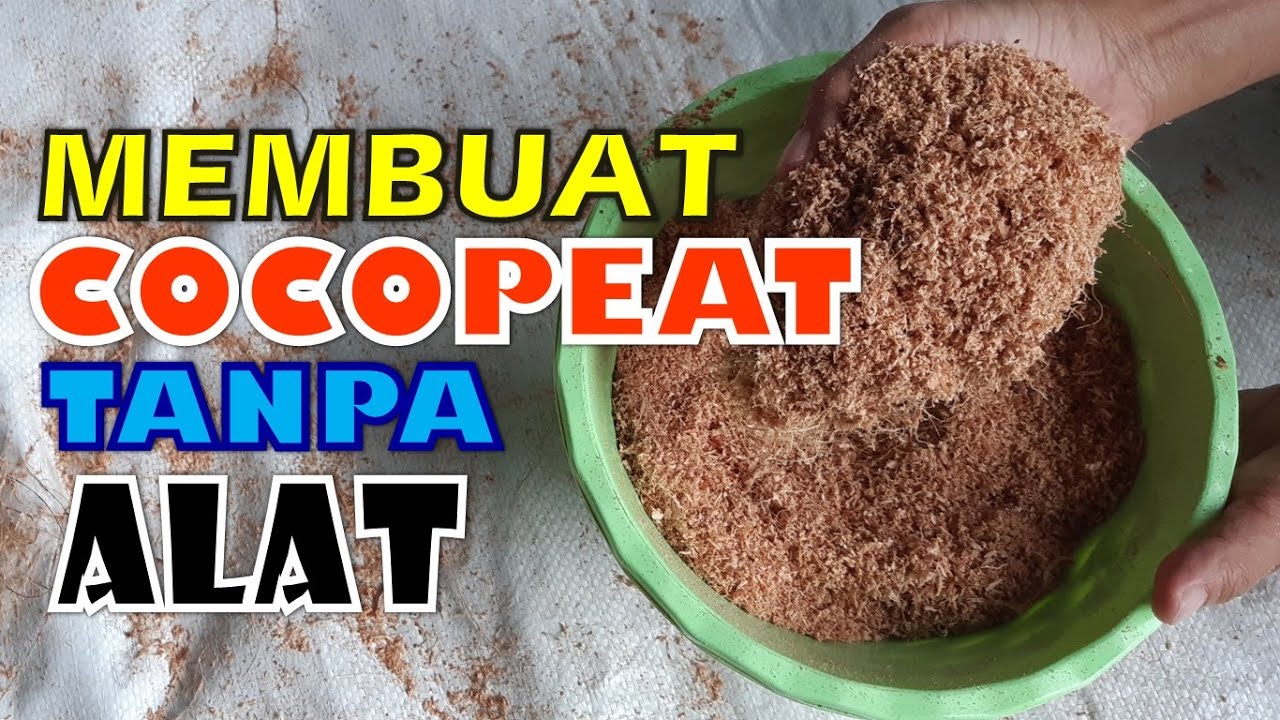 Cara Mudah Membuat Cocopeat Tanpa Alat
