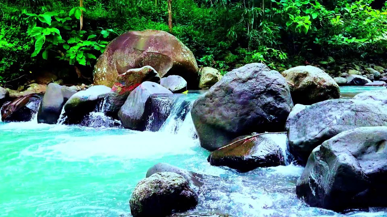 Tranquil River Stream & Bird Sounds ASMR: Relaxing Nature Therapy for Rest Yoga & Studying